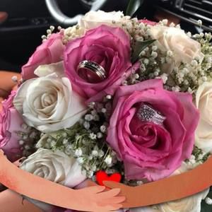 Meet your Posher, Minerva